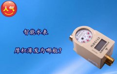 家用水表厚积薄发为哪般？