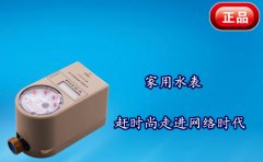 家用水表赶时尚走进网络时代