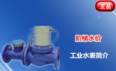 大口径远程控制水表助力城乡一体化供水现代化