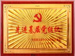 先进基层党组织证书