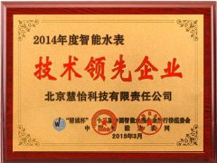 2014年智能水表技术领先企业