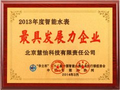 2013年度最具发展力企业