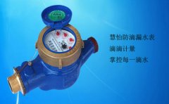 家用水表新时代节水标兵