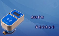 选择对的家用水表公司
