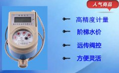 简单介绍立式水表的分类和型号