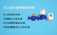 大口径水表有哪些种类
