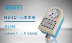 哪种远传水表价格实惠且好用？