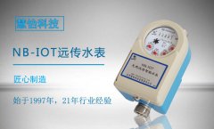 远传阀控水表哪个牌子好？