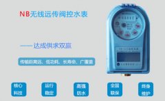 NB远传阀控水表达成供求双赢