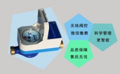 远传阀控水表与物联网“相遇”带来了什么？