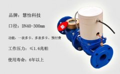 大口径智能水表高标准农田建设项目专用