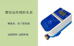 NB远传阀控水表远程监控水资源