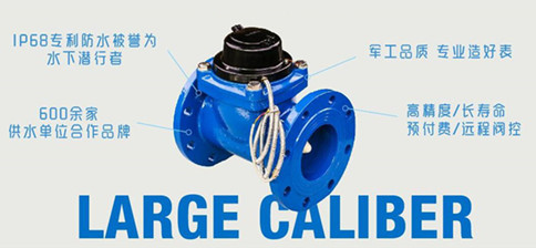 远程抄表智能大口径水表