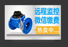 远传阀控水表之螺翼NB大口径水表