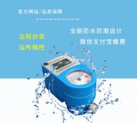 远传阀控水表 远程控制高效管理