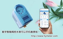 数字智能阀控水表可以手机缴费啦