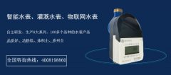 低功耗无线远传水表传输距离远