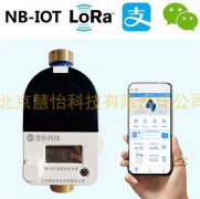 家庭常用远程水表价格多少钱一只