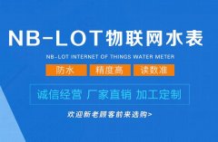 远程预付费智能水表及管理系统