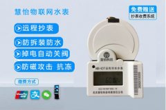 电子远传冷水水表(NB-iot型号)高效精准